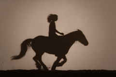 emotion_galopp_207