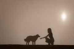 emotion_hund_411