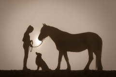 emotion_hund_pferd_132