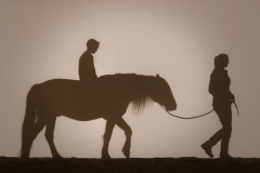 emotion_reiter_fuehren_142