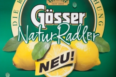goesser_5982_fertig_web