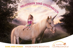 plakat_elfe_web