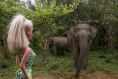 srilanka_yalanationalpark_9104_web srilanka_yalanationalpark_9104_web